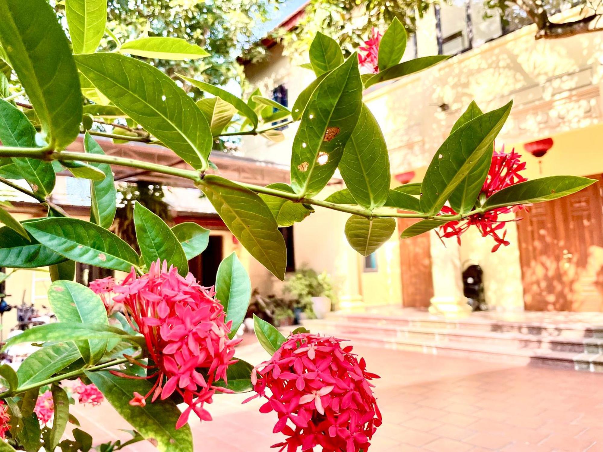 Lee Homestay Hanoi Zewnętrze zdjęcie